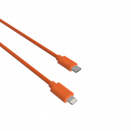 Câble de charge Apple USB-A vers Lightning 1 mètre : prix, avis,  caractéristiques - Orange