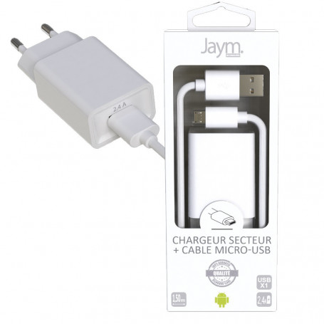 Adaptateur Apple USB‑C vers Mini Jack 3.5 mm Blanc - Chargeur pour  téléphone mobile - Achat & prix
