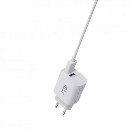 Chargeur rapide iPhone + câble USB vers Lightning - 2 mètres - Chargeur  Fast 12W 